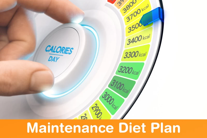 Maintenance Diet